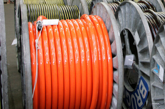 Jenuincable Cable Memenangkan 20 Perusahaan Paling Kompetitif Di Industri Kabel Guangdong